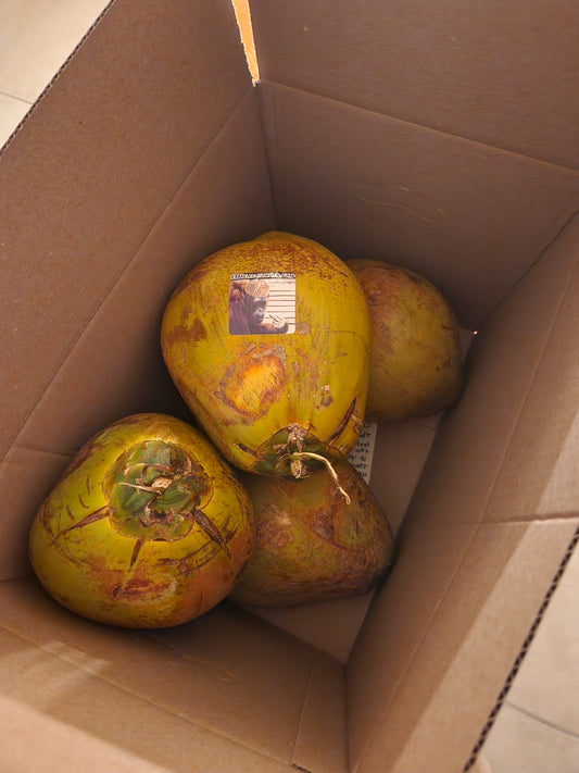 Coconut Gift